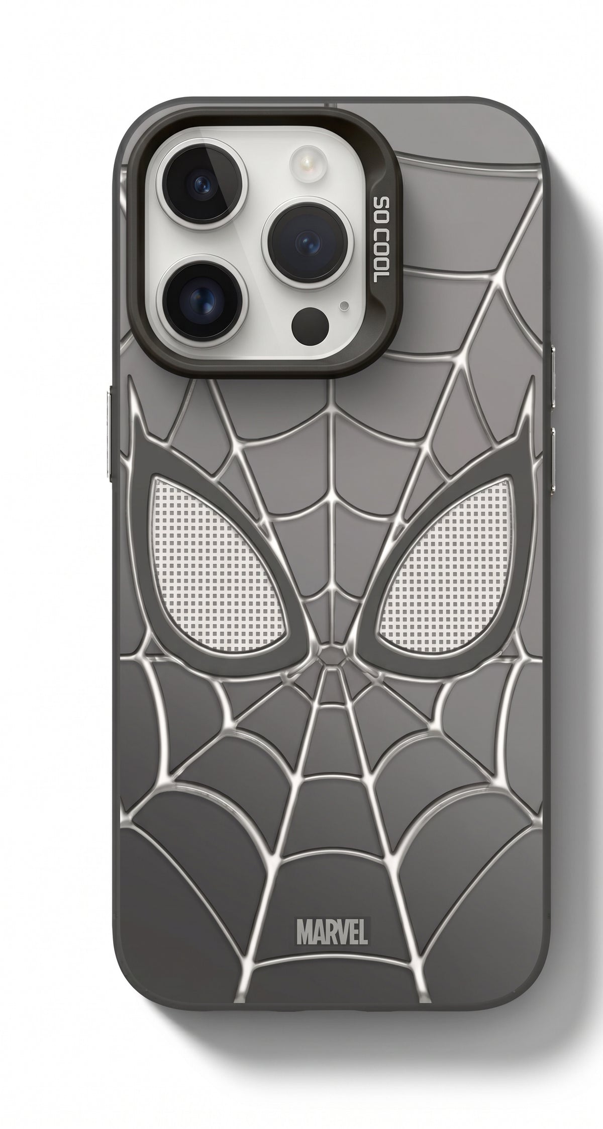 Etui Spiderman Web